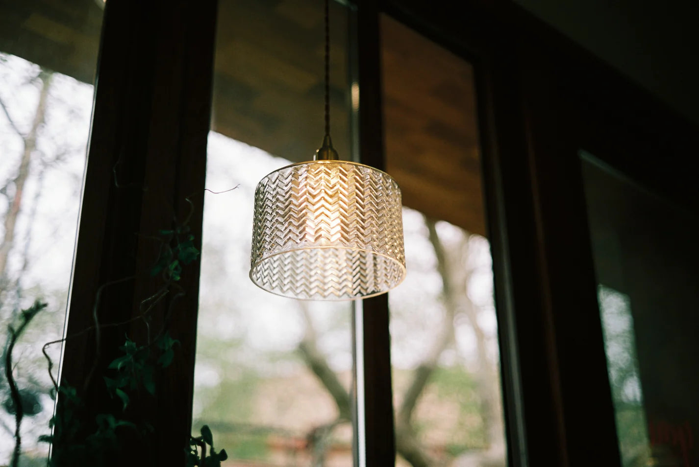 Reflx Lab Pro 100 Color Negative Film 36EXP